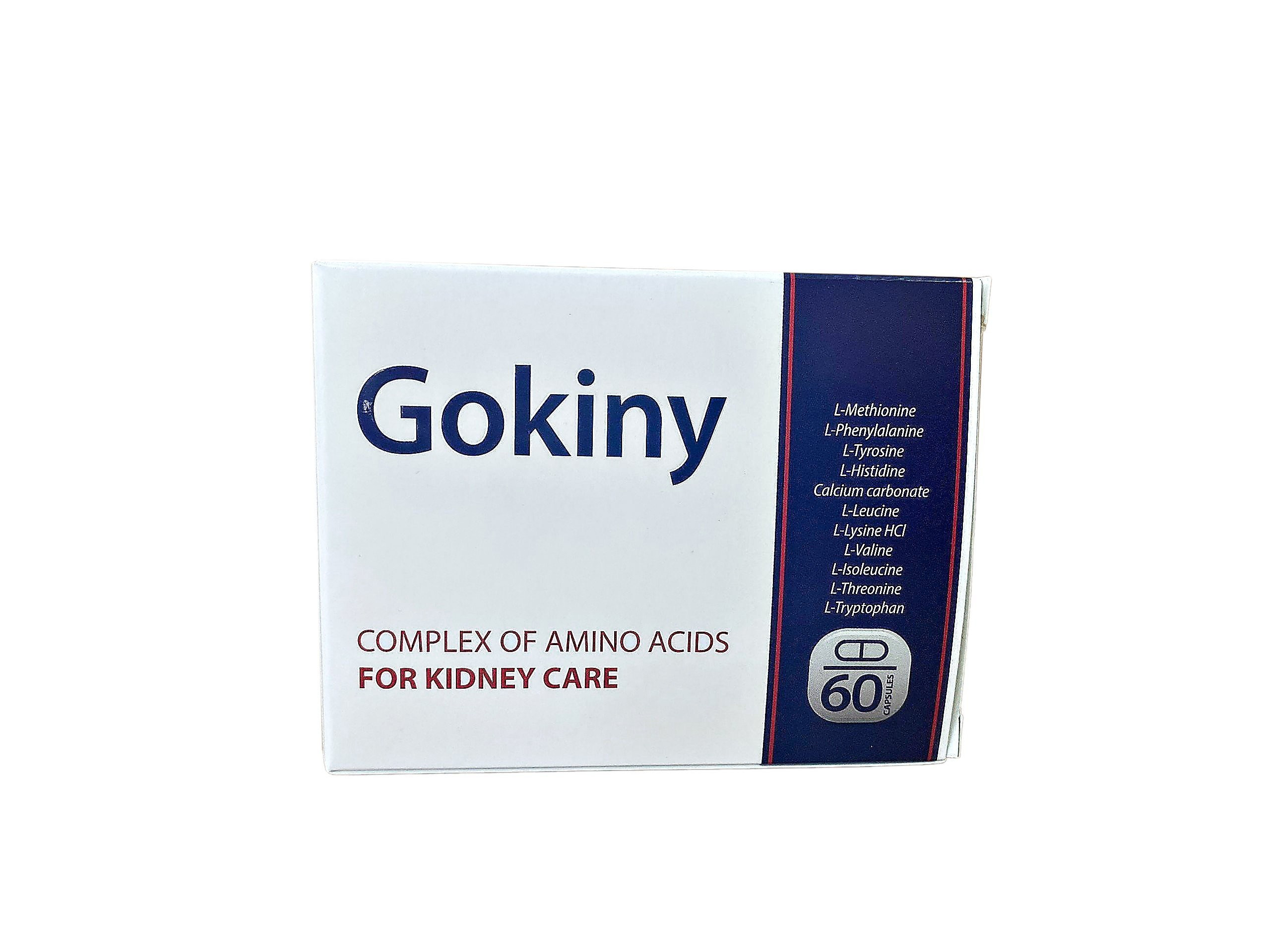 Gokiny-1