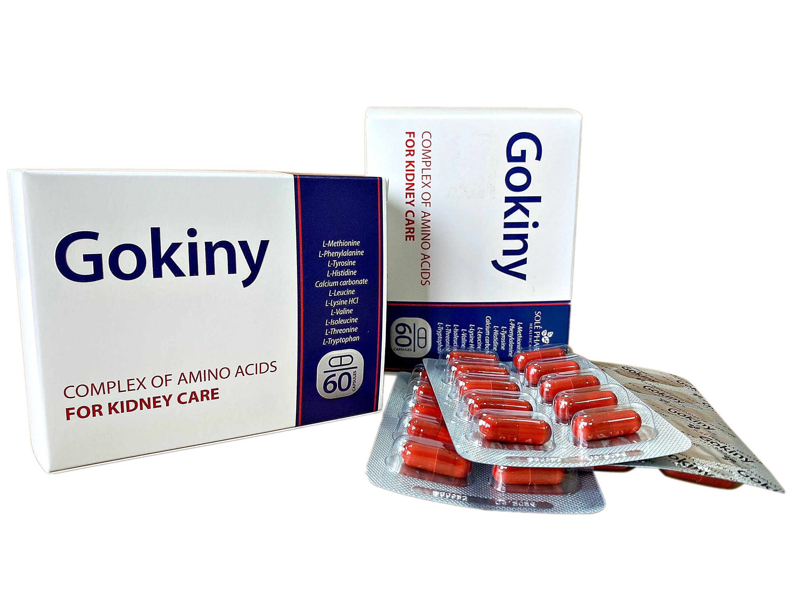 Gokiny-3